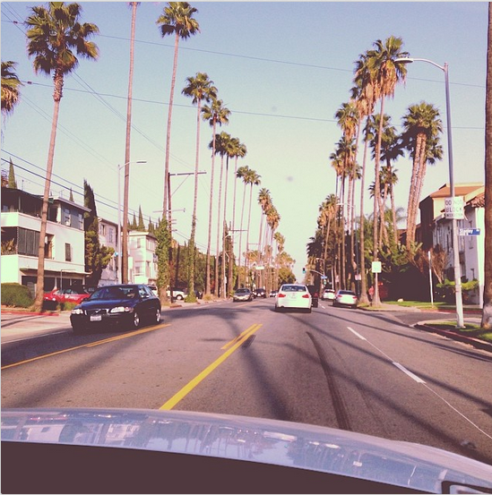 When in LA, a picture of palm trees through a 1977 filter is required.